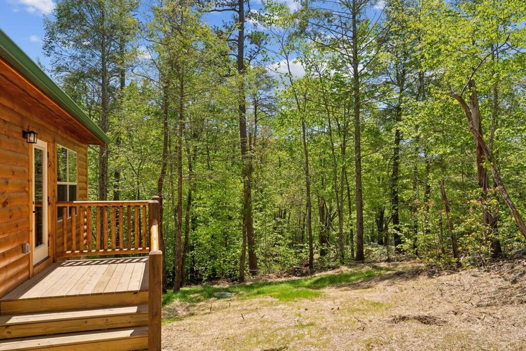 Vila Baby Bear Den Gatlinburg Exteriér fotografie