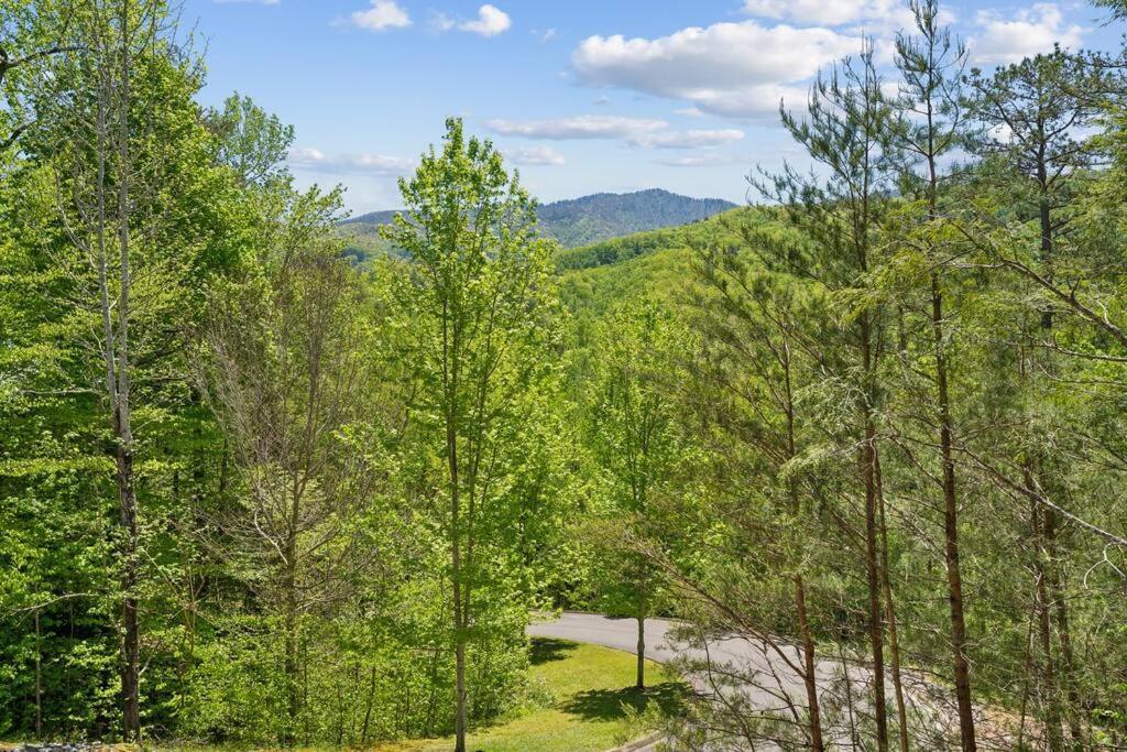 Vila Baby Bear Den Gatlinburg Exteriér fotografie